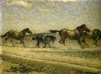Freed horses
