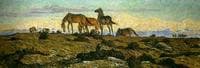 Horses