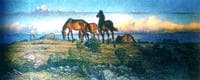Horses