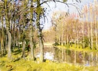A Fisherman, Morning in Spring