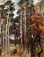 Hermsdorf Forest on a Gray Day