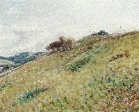 Landscape with Grazing Sheep