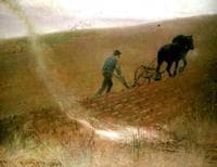 Spring Ploughing