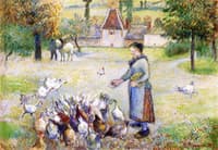 Woman Distributing Grain to the Chickens, Farm in Bazincourt