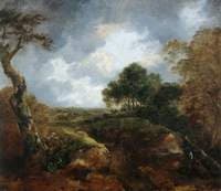 Open Landscape at the Edge of a Wood
