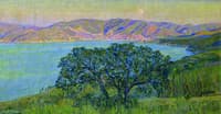 Gulf of Procchio