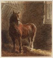 A Horse in a Stable