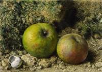 Apples
