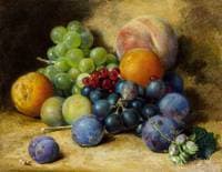 Fruit