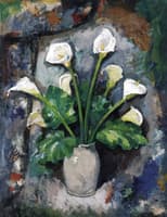Arum Lilies