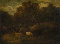 A Wooded Landscape