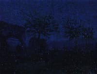 Fireflies in Borgotaro