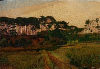 Summer Morning