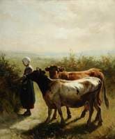 Cattle