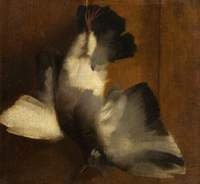 Dead Bird