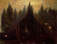 Cypresses and Pigeons
