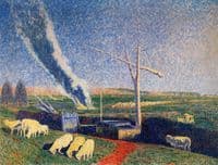 Cattle in Spring
