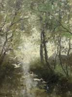 Ducks, Spring