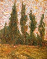 Cypresses