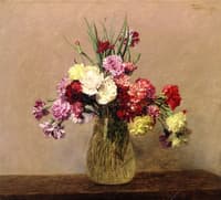Carnations
