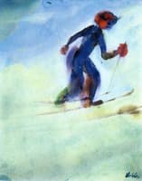 Skier