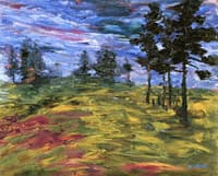Young Fir Trees