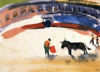 Bull Fight
