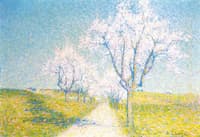 Trees in Flower