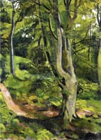 In the Woods