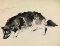 Sleeping Dog