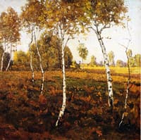 Birches