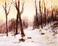 Snow