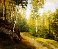 On the Edge of Woods