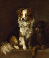 Tristram and Fox