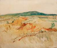 Bourlon Wood, Somme