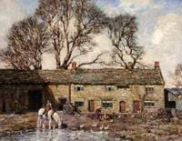 The Farmyard