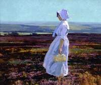 Morning on the Derbyshire Moors
