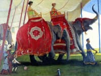 Elephants