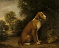 A Setter in a Landscape