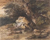 A Woodland Pool with Rocks and Plants