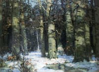 Winter in the Forest