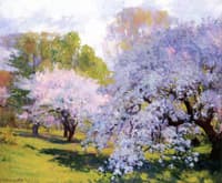 The Orchard