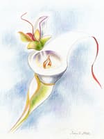 Fantasy Flower