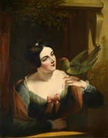 The Pet Bird