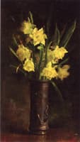 Daffodils