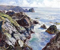 Sunlit Coast