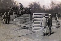 Transport: The First Horse in America to Jump Six Feet