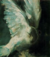 The Dove