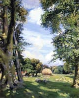 West Burton - Sheep Grazing, England