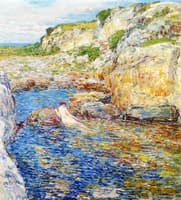 Rockweed Pool